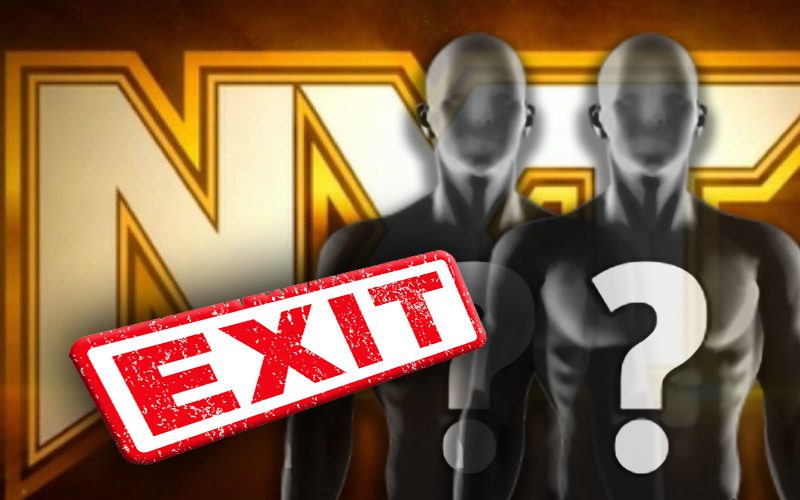 WWE NXT Tag Team Officially Gone From Company