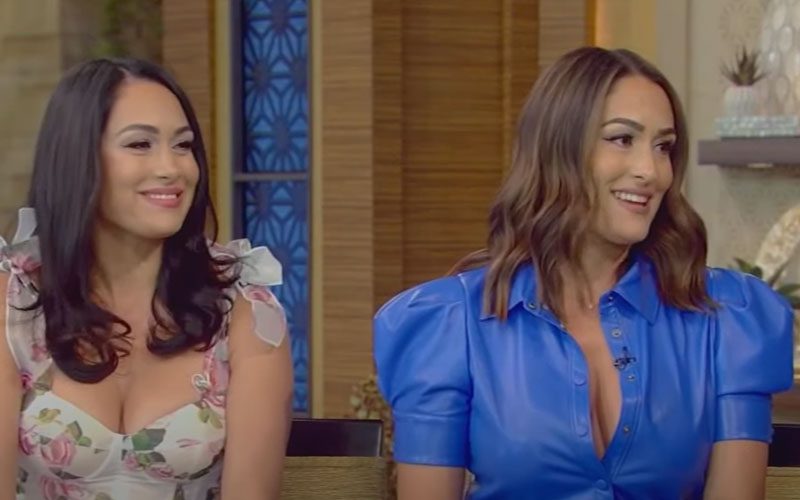 The Bella Twins Explain Their Decision to Ditch the ‘Bella’ Name