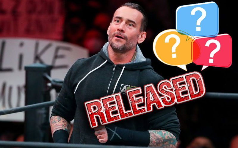 CM Punk May Not Have Non-Compete Clause As Part Of His AEW Release
