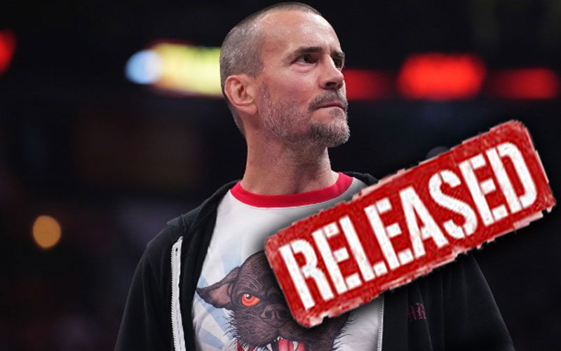 AEW Releases CM Punk From His Contract