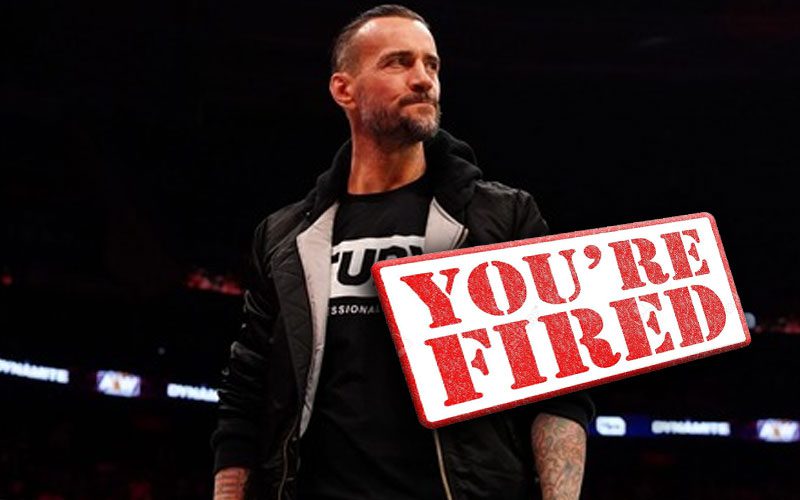 CM Punk Was Released From Multiple AEW Contracts