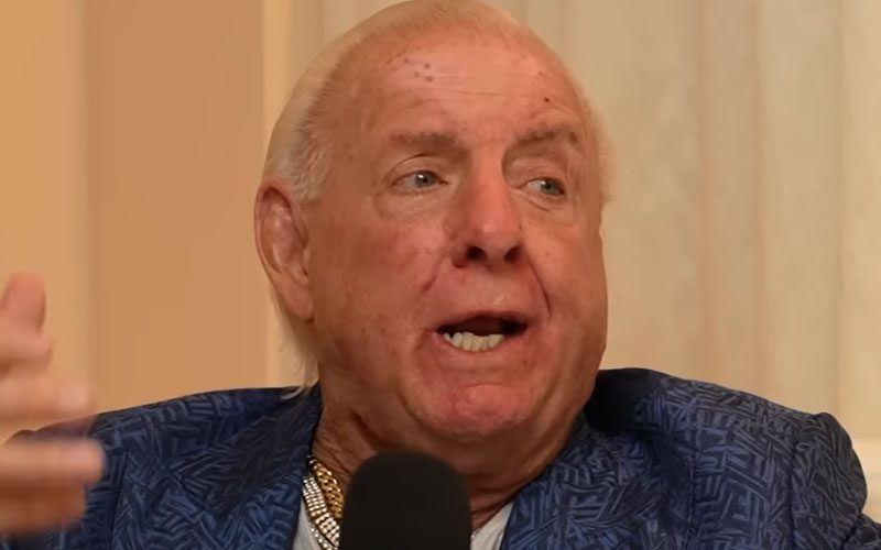 Ric Flair Speaks His Mind About Why WWE Is So Political