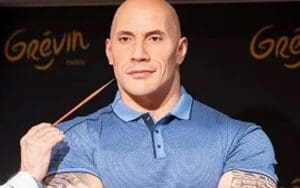 The Rock Personally Working With Paris Museum to Fix Wax Replica