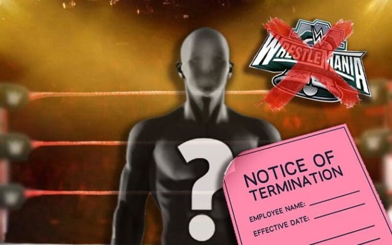WWE Had Creative Plans For Released Superstar Until WrestleMania Season Next Year