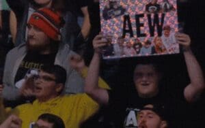 AEW Champion Urges Fans to Keep Advocating for More Women's Wrestling Time