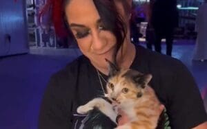 Stray Cat Gets Lots Of Love From WWE Superstars After Sneaking Backstage During Crown Jewel