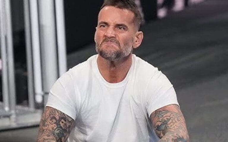 Multiple WWE Talent Upset After CM Punk's Survivor Series Comeback