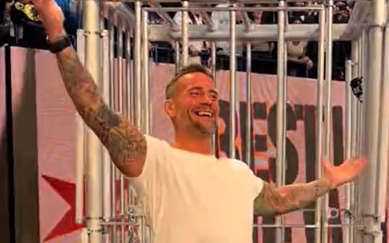 CM Punk Emulates Randy Orton’s Signature Pose After WWE Survivor Series