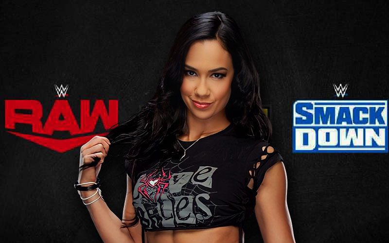 AJ Lee Receives Invitation From WWE Talent To Take Down Superstar