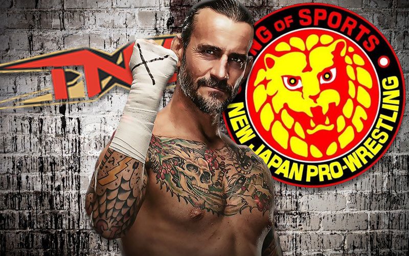 CM Punk May Find New Pro Wrestling Home Outside WWE