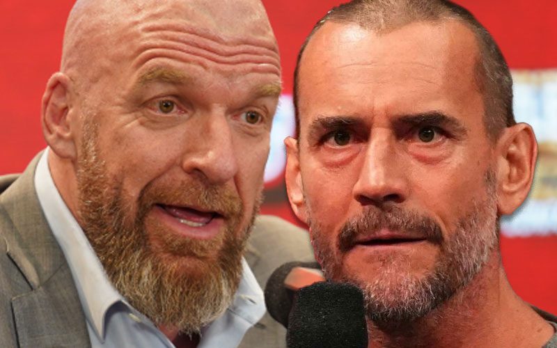 Triple H Blamed WWE Fans Internally for Making Up CM Punk Teases