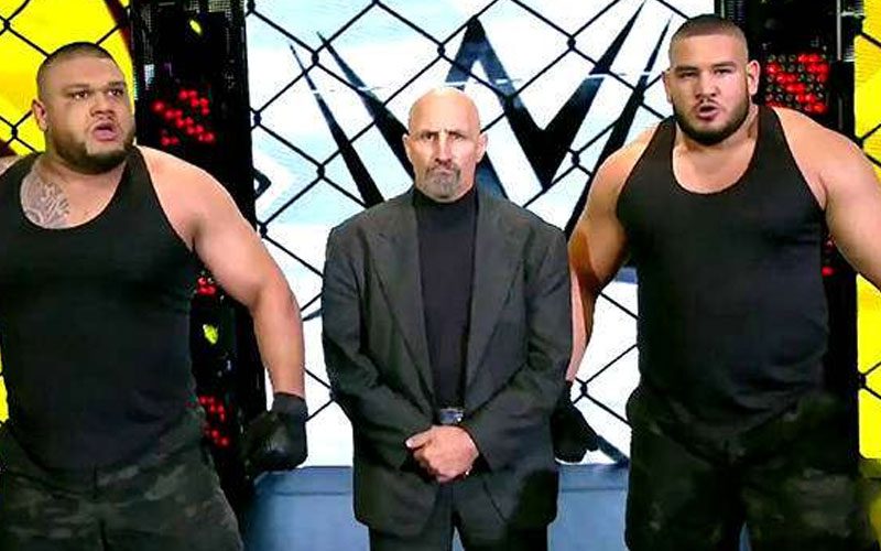 Spoiler: Authors of Pain Official WWE Return Date Revealed
