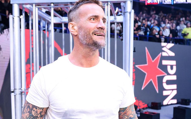 CM Punk Says Returning to WWE Was A Different Animal