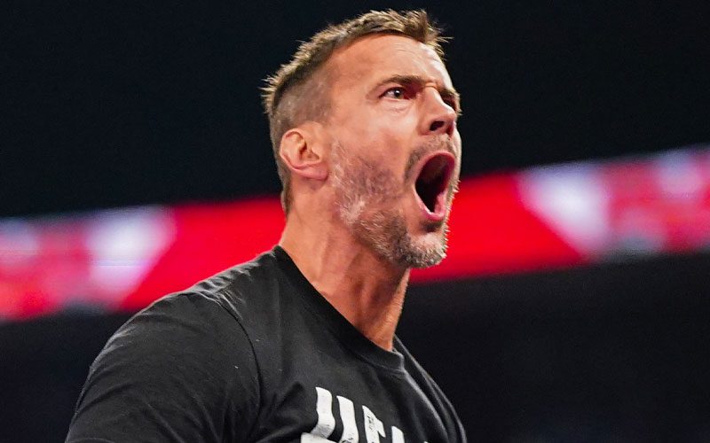 WWE Seeks Fan Feedback on CM Punk’s Opponents From RAW Roster
