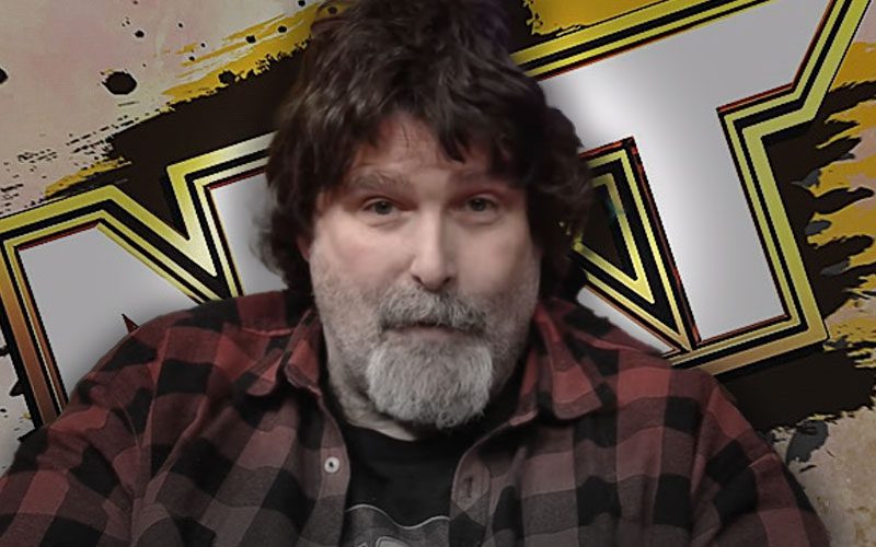 Mick Foley Expresses Willingness to Assist Shawn Michaels with WWE NXT