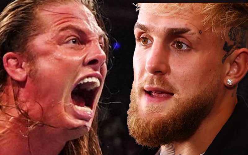 Jake Paul Rejects High-Stakes MMA Fight Against Ex-WWE Superstar Matt Riddle