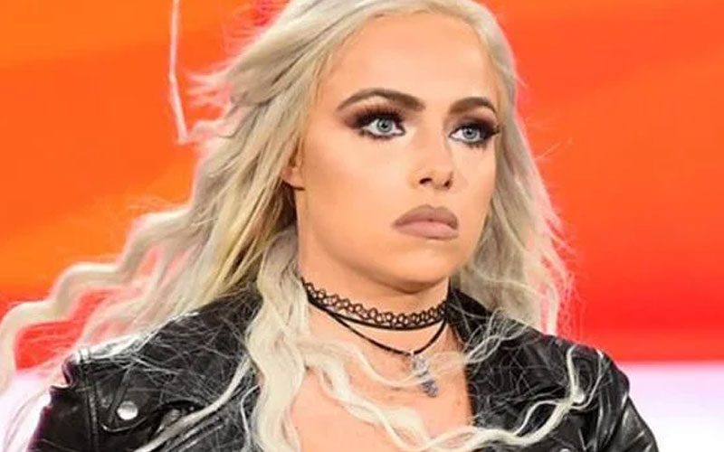 Liv Morgan May Have Taken The Fall For Someone Else In Recent Possession Arrest