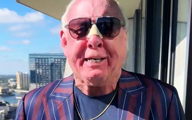 Ric Flair Hypes New Wooooo Coin With Promo Video