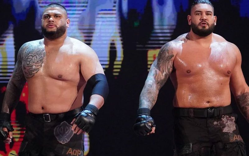 WWE Making Imminent Plans For AOP’s Return