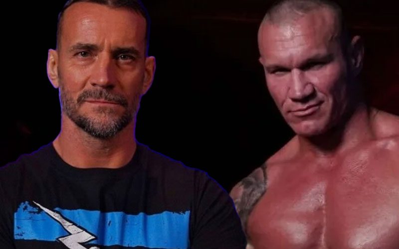 CM Punk & Randy Orton Replace Top Stars on WWE Website Banner
