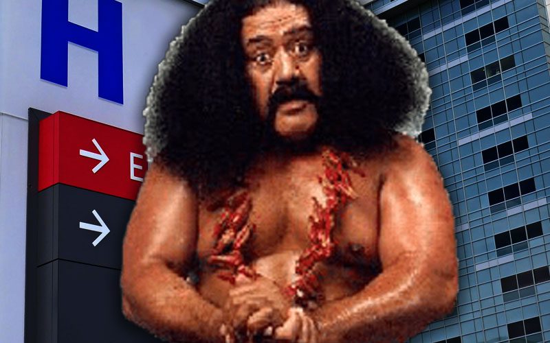 Afa the Wild Samoan Battling Back from Pneumonia and Two Heart Attacks