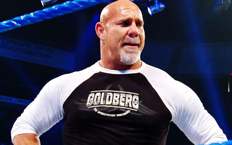 Ex-WWE Figure Alleges That Goldberg’s Retirement Match Was a ‘Vanity Project’