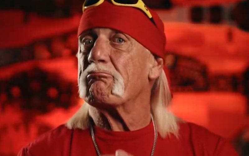 Hulk Hogan Drops Hints at Possible Surprise Entrant in the 2024 WWE