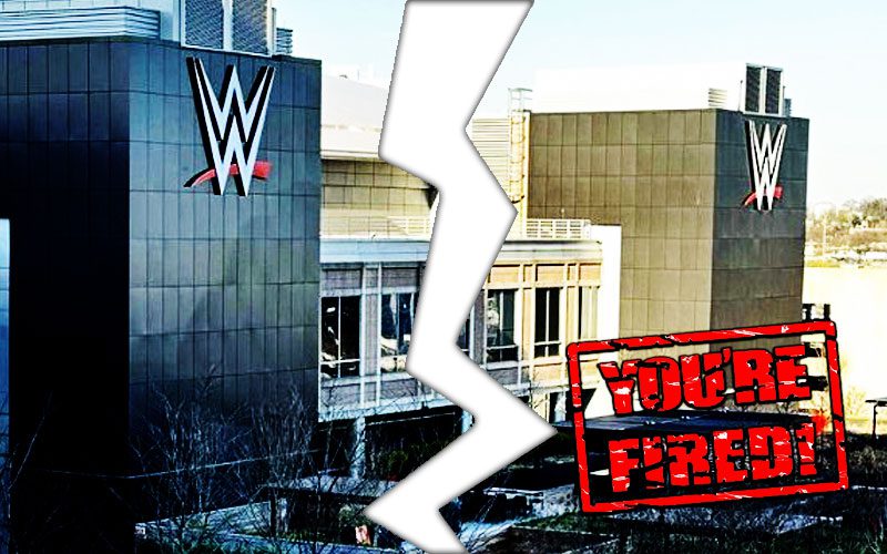 Vince McMahon’s Associates Face Cuts as Endeavor Aims for WWE’s Fresh Slate