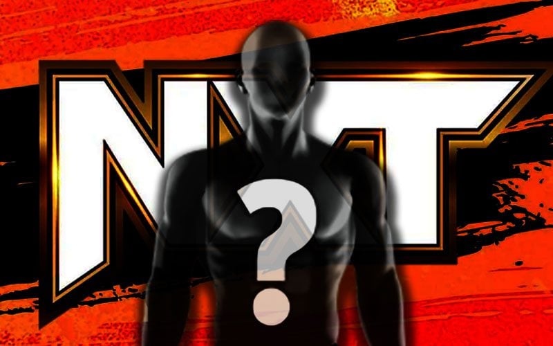Popular Indie Star Makes Debut Before on 2/6 WWE NXT
