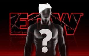 Ex ECW Star Still Suffering From Post Concussion Syndrome