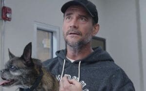 CM Punk and Larry Get Personalized Action Figures From Zombie Sailor's Toys