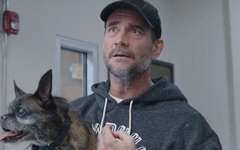 CM Punk and Larry Get Personalized Action Figures From Zombie Sailor's Toys
