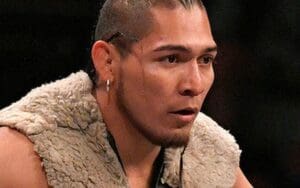 El Hijo del Vikingo's Match Halted Due to Knee Injury