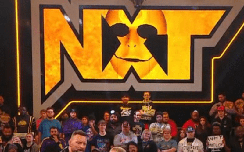 Mysterious Mask Appears on 2/6 Edition of WWE NXT