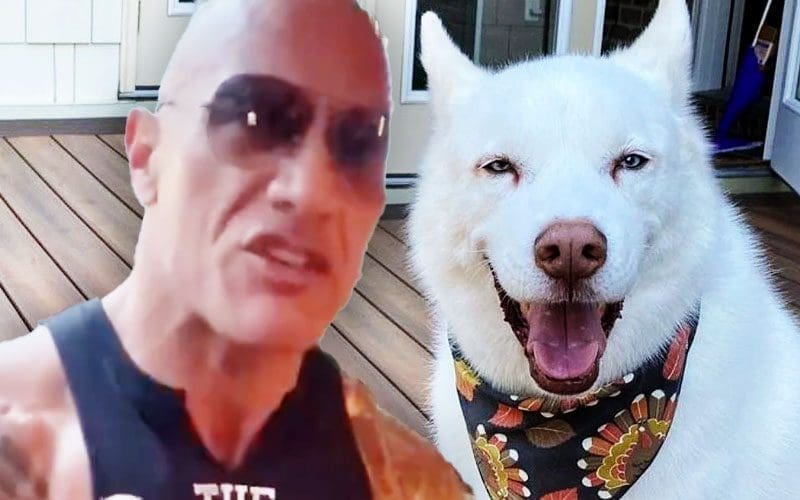 Cody Rhodes' Sister Calls Out The Rock for Taking Aim at Pharaoh