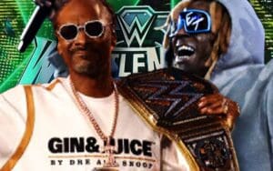 A-List Roll Call: Snoop Dogg, Lil Wayne, Jake Paul, and Celebs Turn Heads at WrestleMania 40