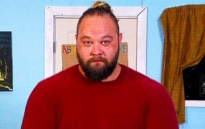 Ex-WWE Writer Believes New Faction Could Tarnish Bray Wyatt's Legacy