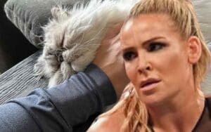 Natalya Announces Her Cat Struggling With Cancer