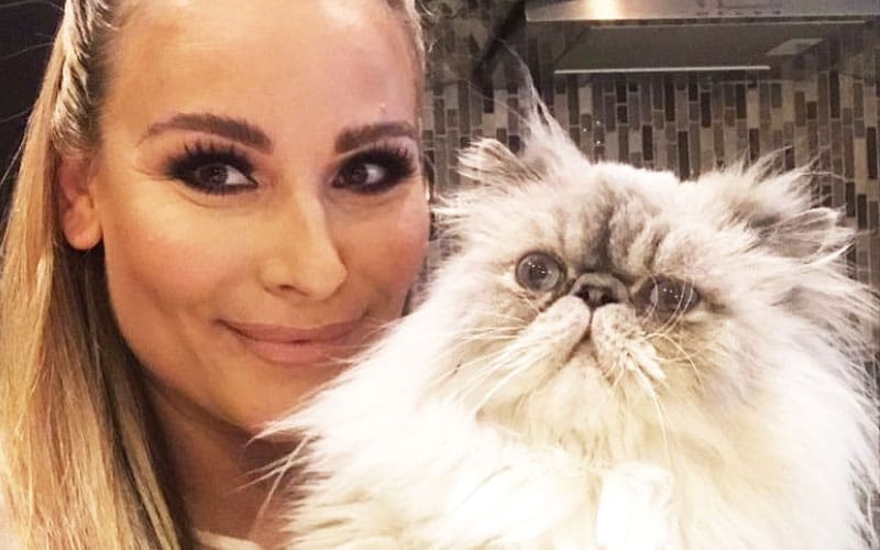 Natalya Announces the Heartbreaking Loss of Her Beloved Cat 2Pawz