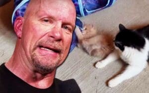 Steve Austin Names New Kitten in Homage to WWE Legend