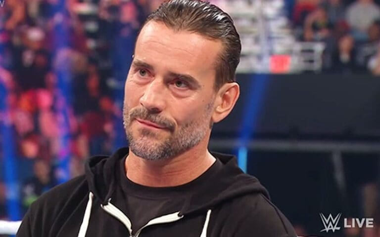 WWE Star Reveals How CM Punk Calmed Him Down After Injury Scare