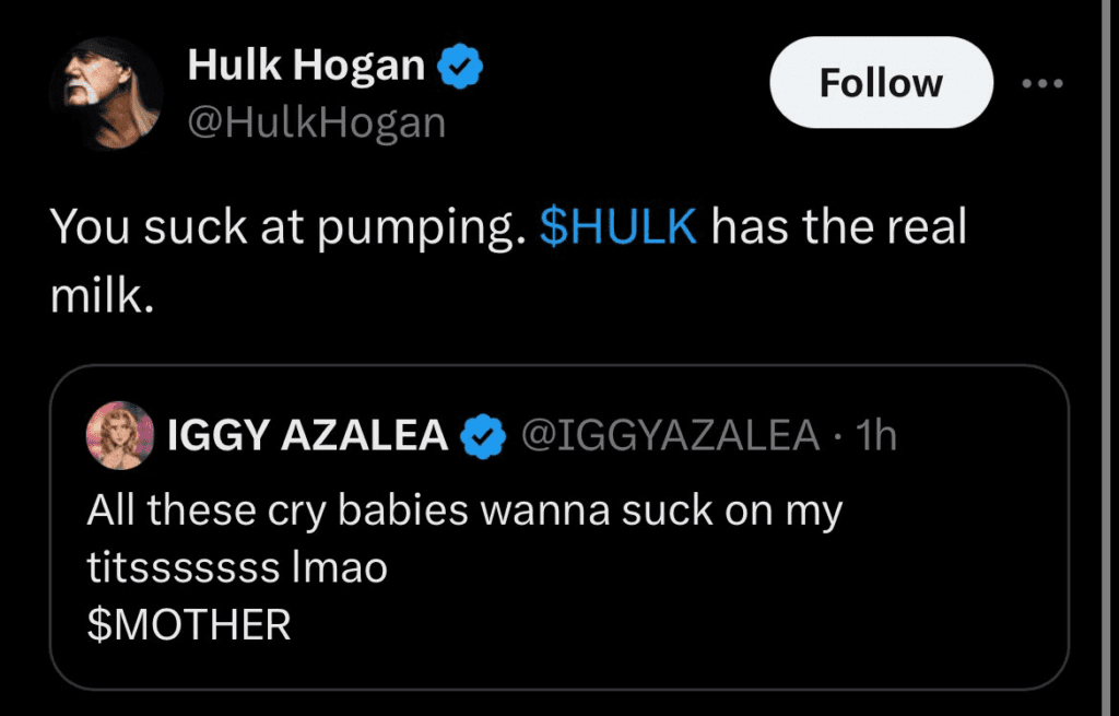 hulk-hogan-deletes-disturbing-messages-aimed-at-iggy-azalea-20