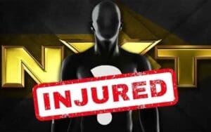 Injured WWE Star Recuperating Faster Than Expected