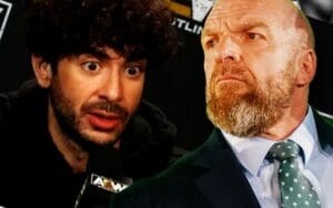 Jim Ross Doesn't Rule Out WWE Working with AEW