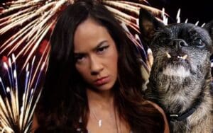 AJ Lee Ready to Square Up Over Scaring Her Pup Larry with July 4th Fireworks