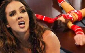 Chelsea Green Says She Could Have Died After Dangerous WWE Money in the Bank Spot