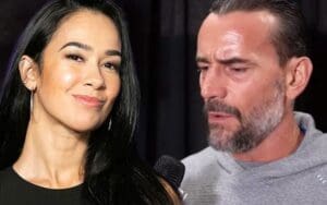 CM Punk Addresses AJ Lee's Potential In-Ring Return Amidst Prolonged Absence