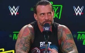 CM Punk Sets the Record Straight on AJ Lee's Views on WWE Return