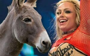Liv Morgan Gave Her Pet Donkey A Very Interesting Name