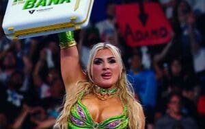 Tiffany Stratton Wins 2024 Women's Money in the Bank Ladder Match